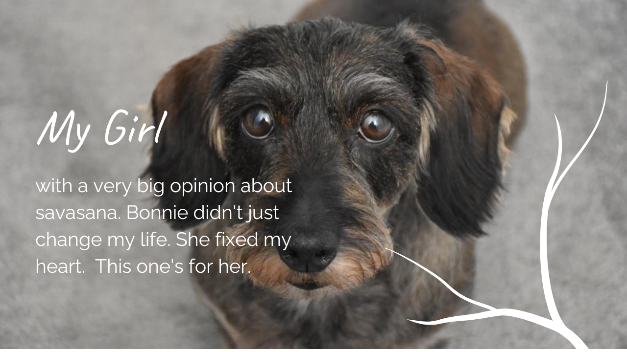 The Dog Who Fixed My Heart: How Bonnie Saved My Life
