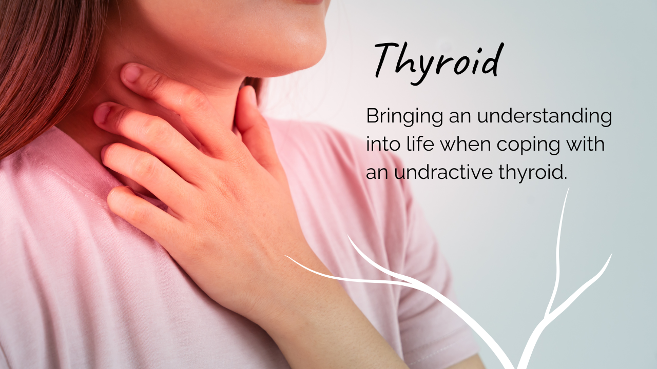 Living with an Underactive Thyroid — What Your GP Didn't Tell You and What TCM Says Instead